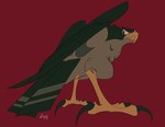 anatomically_correct anatomically_correct_genitalia animal_genitalia avian_feet cloaca feathers feet feral frown genitals male scowl solo tail tail_feathers talons toes voyeur wingz31 disney mulan_(1998) hayabusa_(disney) avian bird hi_res