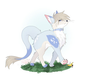 blonde_hair blue_body blue_eyes blue_fur collar duo feral fur grass hair long_tail pawpads paws plant standing stepped_on tail white_body white_fur asusya kolphynder mysh_(prussian_mouse) hi_res