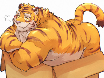 anthro blush box brown_body brown_fur brown_stripes butt cardboard cardboard_box container countershade_arms countershade_face countershade_torso countershading crossed_arms dipstick_tail fangs fur looking_at_viewer male markings multicolored_body multicolored_fur nude orange_body orange_fur overweight overweight_anthro overweight_male pink_nose simple_background solo striped_body striped_fur stripes tail tail_markings tan_body tan_fur teeth white_background yellow_sclera toraya_inugami felid mammal pantherine tiger 2025 hi_res