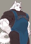 anthro biceps clothing fur male musclegut muscular muscular_anthro muscular_male simple_background solo white_body white_fur istani canid canine canis mammal wolf hi_res