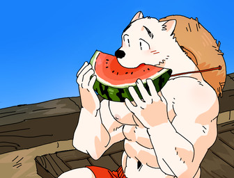 abs anthro biceps bottomwear clothing food fruit fur hat headgear headwear kemono male melon muscular muscular_anthro muscular_male nipples outside pecs plant shorts solo watermelon watermelon_slice syukapong canid canine mammal 2018 digital_media_(artwork)
