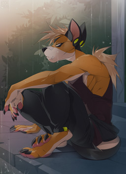 4_toes 5_fingers anthro clothed clothing day detailed_background feet fingers male outside raining sitting solo toes kaerufrog canid canine mammal 2021 digital_media_(artwork) hi_res