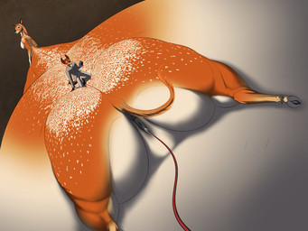 anthro anus belly big_belly big_butt butt clothing duo female fur genitals grey_clothing hose hose_inflation huge_belly huge_butt hyper hyper_belly inflation looking_back macro male orange_body orange_fur rear_view vulva meanybeany canid canine deer deer_taur fox mammal mammal_taur taur 2021