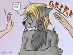 anthro blonde_hair breasts chest_tuft collar exclamation_point female fur grey_body grey_fur group growling hair petting predators red_eyes rune solo_focus text trio tuft farfener links the_auroran_archives chara_(links) shiyan_(links) canid canine canis coyote mammal wolf 4:3 colored hi_res