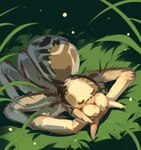 ambiguous_gender brown_body brown_fur eyes_closed feral fur grass lying mandibles on_front plant sleeping solo white_body white_fur corzh77 arachnid arthropod spider absurd_res hi_res