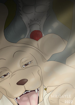 anal anal_penetration animal_genitalia animal_penis anthro anthro_on_anthro anthro_penetrated anthro_penetrating anthro_penetrating_anthro bed bunk_bed canine_genitalia canine_penis duo furniture genitals grabbing_sheets knot looking_pleasured male male/male male_penetrated male_penetrating male_penetrating_male penetration penis sex sheath straddling tan_body mr.gayle beastars jack_(beastars) legoshi_(beastars) bird_dog canid canine canis domestic_dog hunting_dog labrador mammal retriever wolf absurd_res hi_res