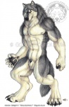 4_toes 5_fingers abs animal_genitalia anthro balls barefoot big_muscles biped black_claws black_nose black_penis claws digitigrade dipstick_ears ear_markings feet fingers fur genitals grey_body grey_fur hybrid_genitalia hybrid_penis male multicolored_body multicolored_ears multicolored_fur muscular muscular_anthro muscular_male navel nipples nude penis penis_tip sheath simple_background solo standing toe_claws toes two_tone_body two_tone_fur urethra whiskers white_background white_balls white_body white_fur white_sheath yellow_eyes goldenwolf mythology heartlessfang_(character) canid canine canis mammal mythological_canine mythological_creature werecanid werecanine werecreature werewolf wolf 2013 detailed watermark