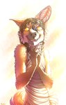 2021 5_fingers abstract_background anthro black_hair canid canine claws clothed clothing conditional_dnp digital_media_(artwork) english_text faraden female female_anthro fingers fluffy fully_clothed fur gloves_(marking) hair happy hi_res legacy_(ratte) looking_at_viewer mammal maned_wolf markings new_faraden open_mouth orange_body orange_eyes orange_fur ratte saffron_(ratte) signature smile solo story story_in_description text