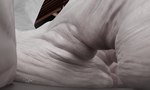 anthro feet female foot_focus humanoid_feet low-angle_view plantigrade soles solo toes white_body worm's-eye_view allandox mythology dragon mythological_creature mythological_scalie scalie 3d_(artwork) digital_media_(artwork) hi_res