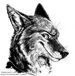 2015 artist_name blackteagan canid canine canis coyote ear_piercing grin headshot_portrait looking_at_viewer male mammal monochrome piercing portrait simple_background sketch smile solo text whiskers white_background
