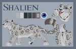 animal_genitalia animal_pussy anus black_anus black_body black_pussy black_skin claws feline_genitalia feline_pussy female feral genitals licking_claws pussy solo hailberry shalien felid mammal pantherine snow_leopard model_sheet