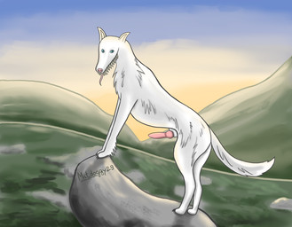 animal_genitalia animal_penis blue_eyes canine_genitalia canine_penis claws erection feral fur genitals long_tail looking_at_viewer male mountain outside paws penis presenting presenting_penis sharp_teeth sky solo standing sunset tail teeth tongue tongue_out white_body white_fur mitdoggy29 canid mammal monster hi_res