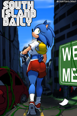 anthro backpack blue_body blue_fur blue_hair bottomwear breasts clothed clothed_anthro clothed_female clothing crossgender female footwear fur green_eyes hair looking_back mtf_crossgender red_bottomwear red_clothing red_shorts ruins shoes shorts solo topwear white_clothing white_topwear justtaylor sega sonic_the_hedgehog_(series) sonic_the_hedgehog eulipotyphlan hedgehog mammal 2025 2:3 absurd_res cover cover_art cover_page hi_res