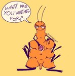 6_legs antennae_(anatomy) anthro arthropod balls bodily_fluids carmelcaker centipede dialogue empty_eyes english_text front_view genitals hi_res intersex inviting male maleherm myriapod orange_body penis pussy scynax simple_background solo speech_bubble spencer_(scynax) spread_pussy spreading talking_to_viewer text yellow_background