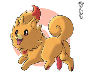 animal_genitalia animal_penis anus balls butt canine_genitalia canine_penis digitigrade erection fangs feral genitals knot knotted_penis looking_at_viewer male open_mouth pawpads penis quadruped solo teeth tongue tongue_out conditional_dnp yakukitsu nintendo pokemon pokemon_winds_and_waves canid canine generation_10_pokemon mammal pokemon_(species) pombon 2026 hi_res