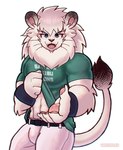 abs anthro biceps blue_eyes bottomwear clothed clothing clothing_lift fangs fur hair male mane mascot muscular muscular_anthro muscular_male navel open_mouth pants pecs shirt shirt_lift simple_background solo standing tail teeth topwear white_background white_body white_fur whiteleo nippon_professional_baseball saitama_seibu_lions leo_(saitama_seibu_lions) felid lion mammal pantherine hi_res