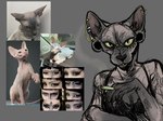 alternative_fashion ambiguous_gender anthro car cigarette clothed clothed_female clothing female feral goth group hairless real vehicle puppy_meats domestic_cat felid feline felis hairless_cat mammal sphynx_(cat) hi_res model_sheet photography_(artwork)