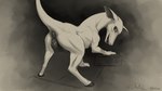 animal_genitalia animal_pussy anus big_ears big_eyes black_body black_skin butt canine_genitalia canine_pussy ears_aside eyelashes female female_feral feral fur genitals happy hooves looking_at_viewer looking_back muscular muscular_female presenting presenting_anus presenting_hindquarters presenting_pussy pussy rear_view seductive semi-anthro showing_teeth smile smiling_at_viewer solo submissive submissive_female submissive_feral tail teats thick_tail white_body white_fur wiltreal canid canine equid equine hybrid mammal 16:9 4k absurd_res hi_res widescreen