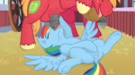 2015 2d_animation animal_genitalia animal_penis animated audible_creampie bad_metadata balls big_macintosh_(mlp) blue_body blue_feathers bodily_fluids body_part_in_mouth bouncing_balls clitoral_winking clitoris cum cum_in_mouth cum_inside cutie_mark deep_throat drinking drinking_cum duo earth_pony ejaculation equid equine equine_genitalia equine_penis erection feathered_wings feathers fellatio female female_penetrated feral feral_on_feral feral_penetrated feral_penetrating feral_penetrating_feral friendship_is_magic genital_fluids genitals hair hasbro high_framerate horse htpot male male/female male_penetrating male_penetrating_female mammal masturbation moan motion_tweening multicolored_hair my_little_pony mythological_creature mythological_equine mythology nude oral oral_only oral_penetration orgasm pegasus penetration penile penile_penetration penis penis_in_mouth pony pussy pussy_ejaculation rainbow_dash_(mlp) rainbow_hair sex short_playtime slashysmiley sound swallowing tongue tongue_out vaginal vaginal_fluids vaginal_masturbation vein webm wings