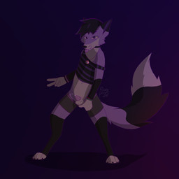 animal_genitalia animal_penis anthro balls becoming_erect belly biped black_body black_ear_tips black_fur black_hair black_nose bodily_fluids canine_genitalia canine_penis choker clothing clothing_aside clothing_pull crop_top dark_body dark_fur dark_hair digitigrade dipstick_ears dipstick_tail ear_markings exposed_belly fur genital_fluids genitals gesture hair half-erect hand_gesture highlights_(coloring) jewelry male markings multicolored_ears necklace pattern_clothing pattern_topwear penis pink_flesh pink_tongue precum precum_bead precum_on_own_penis precum_on_penis purple_body purple_eyes purple_fur purple_hair_tips purple_highlights sheath shirt solo striped_clothing striped_topwear stripes tail tail_markings tongue topwear underwear underwear_aside underwear_pull v_sign white_belly white_body white_fur white_hands white_muzzle white_paws white_tail_tip wristband fawxpaws tess_(fawxpaws) canid canine fox mammal 1:1 hi_res