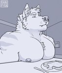 absurd_res anthro big_pecs body_hair bread canid canine chest_hair chest_on_dining_table_(meme) facial_piercing food fox fur furniture hi_res male mammal meme muscular muscular_male nipples nose_piercing nose_ring pec_rest pec_squish pecs pecs_focus pecs_on_table piercing redraw ring_piercing skai skaifox snaggle_tooth solo striped_body striped_fur stripes table