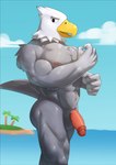 anthro balls beach biceps circumcised cloud flaccid genitals glans grey_body humanoid_genitalia humanoid_penis male muscular muscular_anthro muscular_male navel nipples non-mammal_balls non-mammal_nipples nude outside pecs penis solo vein veiny_penis water wet jrjresq animal_crossing nintendo apollo_(animal_crossing) accipitrid accipitriform avian bird eagle colored hi_res