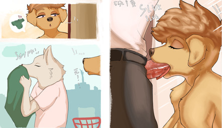 anthro clothing duo fellatio female female/female japanese male oral penile question_mark sex sniffing sniffing_clothes text hirofumi_kumori clara_(meesh) bird_dog canid canine canis domestic_dog fox golden_retriever hunting_dog mammal retriever absurd_res comic hi_res huge_filesize japanese_text