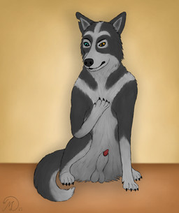 animal_genitalia animal_penis balls black_body black_fur canine_genitalia canine_penis claws eyebrows feral fur fur_markings genitals grey_body grey_fur heterochromia looking_at_paw looking_down looking_down_at_self male markings penis penis_tip raised_eyebrow sheath sitting sitting_on_ground solo maklykan mak_lykan canid canine canis mammal wolf absurd_res hi_res