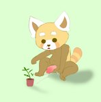 anthro balls bodily_fluids cum genital_fluids genitals male penis plant sitting solo fuzefurry aggretsuko sanrio resasuke ailurid mammal red_panda absurd_res hi_res