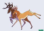 antlers brown_body brown_fur duo feral fur hooves horn legs_in_air light_belly male partially_obscured running short_tail simple_background tail white_background noki001 bambi_(film) disney bambi the_great_prince_of_the_forest deer mammal