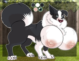 backyard big_breasts black_body black_fur black_nose breasts busty_feral butt chest_tuft claws excited eyelashes feet female feral fluffy fluffy_tail fur grey_eyes huge_breasts hyper hyper_breasts lips nipples paws pink_nipples raised_tail smile solo tail teeth thick_bottom_lip thick_lips tuft what what_has_science_done white_body white_fur wide_hips ratchetjak border_collie canid canine canis collie domestic_dog herding_dog mammal pastoral_dog sheepdog digital_media_(artwork) hi_res