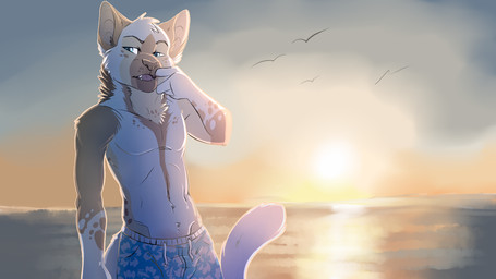 anthro blue_eyes clothed clothing day detailed_background looking_away male open_mouth outside partially_clothed sea seascape sky solo sunset swimwear topless water frostbite-wolamute_(artist) african_wild_dog canid canine mammal 16:9 widescreen