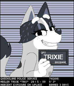 anthro black_eyes cartoon_freckles dipstick_tail eyelashes female freckled_face freckles fur glistening_eyelids grey_body half-closed_eyes holding_object lidded_eyes long_eyelashes looking_at_viewer markings mugshot multicolored_body multicolored_fur narrowed_eyes side_view simple_background smile solo tail tail_markings teeth text unknown_artist barbie_and_ken_mugshot_meme bluey_(series) trixie_heeler australian_cattle_dog canid canine canis cattledog domestic_dog herding_dog mammal pastoral_dog digital_media_(artwork) english_text hi_res pixel_(artwork) wplace_(artwork)