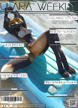 anthro barcode bikini claws clothed clothing collar ears_up eyebrows female floating fur glistening hands_above_head inflatable looking_at_viewer lying magazine paws pillow pool_float pool_toy qr_code raised_eyebrows reflection solo swimwear tail text two-piece_swimsuit water water_reflection protolady ruaidri_(modeler) blender_cycles space_station_13 fox_(protolady) canid canine fox mammal 3d_(artwork) blender_(artwork) cover dated digital_media_(artwork) english_text hi_res magazine_cover
