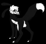 anus backsack balls big_balls blush butt feral floppy_ears fluffy genitals hair looking_at_viewer looking_back looking_back_at_viewer male nervous presenting presenting_hindquarters raised_tail rear_view shy smile solo standing tail teeth tongue tongue_out x_anus shadowsirens audience! lupisvulpes toonny canid canine canis domestic_dog duskky mammal patchwork_creature patchwork_monster alpha_channel hi_res monochrome