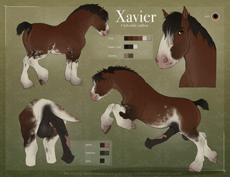 anatomically_correct anatomically_correct_anus anatomically_correct_genitalia anatomically_correct_penis animal_genitalia animal_penis anus balls big_balls big_flare big_penis black_mane brown_anus brown_balls brown_body brown_eyes brown_fur brown_sheath butt dock_(anatomy) equine_anus equine_genitalia equine_penis erection eyebrows feathering feral flared_penis fur genitals half-erect hooves leg_markings looking_at_viewer male male_feral mane markings medial_ring mottled mottled_genitalia mottled_penis multicolored_body multicolored_fur multicolored_penis penis puffy_anus quadruped rear_view saggy_balls sheath side_view simple_background socks_(marking) solo standing tail text two_tone_penis underhoof unguligrade vein veiny_balls veiny_penis white_body white_fur fenn.perrox xavier_(fenn.perrox) clydesdale draft_horse equid equine horse mammal 2026 digital_drawing_(artwork) digital_media_(artwork) english_text hi_res model_sheet url