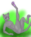 4_toes 5_fingers anthro areola breasts eyebrows eyelashes feet female fingers fur genitals green_eyes grey_body grey_fur innie_pussy looking_aside lying nipples on_back pawpads pink_nipples pink_nose pussy raised_leg smile solo tail toes cooshoo unknown_artist full-length_portrait hi_res portrait shaded soft_shading