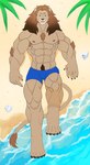 beach bottomwear clothing male mane muscular seaside shorts solo leolex felid feline lion mammal pantherine hi_res