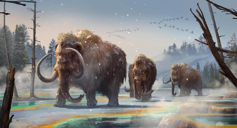 brown_body brown_fur dead_tree evergreen_tree feral flock fur group herd hot_spring long_fur pine_tree plant proboscis_(anatomy) sky snow tree trunk_(anatomy) tusks walking water anthon500 ambient_bird elephantid mammal mammoth prehistoric_species proboscidean woolly_mammoth 2018