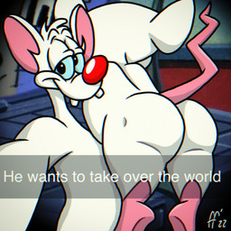 anthro blue_sclera butt caption duo fur looking_at_viewer male narrowed_eyes nude_anthro nude_male pink_inner_ear pink_tail red_nose smile tail teeth white_body white_fur fabfelipe he_wants_to_order pinky_and_the_brain warner_brothers pinky_(warner_brothers) the_brain mammal mouse murid murine rodent 1:1 2022 chromatic_aberration digital_drawing_(artwork) digital_media_(artwork) hi_res meme
