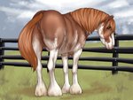 animal_genitalia animal_pussy anus butt clitoral_winking clitoris detailed_background equine_genitalia equine_pussy female fence feral genitals outside presenting presenting_hindquarters pussy solo tabascocat blossom_(anon) draft_horse equid equine horse mammal 4:3