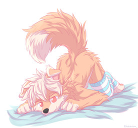 all_fours anthro ass_up clothing legwear legwear_only male mostly_nude raised_tail solo tail thigh_highs thigh_highs_only acronium border_collie canid canine canis collie domestic_dog herding_dog mammal pastoral_dog sheepdog hi_res
