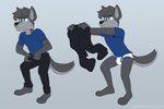 anthro barefoot black_bottomwear black_clothing black_nose black_pants blue_clothing blue_eyes blue_seam_briefs blue_seam_underwear blue_shirt blue_t-shirt blue_topwear bottomwear briefs bulge clothed clothing colored_seam_underwear feet focused fur grey_background grey_body grey_fur grey_hair hair holding_bottomwear holding_clothing holding_object holding_pants male pants pantsless shirt simple_background solo standing t-shirt tighty_whities topwear underwear undressing unzipping_pants white_briefs white_clothing white_underwear sebtheredpanda zach_the_wolf canid canine canis mammal wolf absurd_res hi_res meme