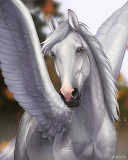 ambiguous_feral ambiguous_gender black_body black_fur feral fur grey_body grey_fur grey_hair hair markings pink_nose pupils quadruped solo tail text white_body white_fur white_hair white_markings wings yellow_eyes beesa mythology equid equine mammal mythological_creature mythological_equine pegasus 2026 4:5 artist_name digital_media_(artwork) hi_res portrait signature