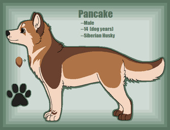 ambiguous_gender black_nose border brown_body brown_fur countershade_fur countershading digitigrade feral fur green_background green_border green_text grey_eyes paws simple_background snout solo standing stated_age stated_young tail tan_body tan_countershading tan_fur tan_inner_ear text sebdoggo canid canine canis domestic_dog husky mammal nordic_sled_dog siberian_husky spitz 2014 aliasing character_name digital_drawing_(artwork) digital_media_(artwork) english_text flat_colors full-length_portrait impact_(font) microsoft_paint_(artwork) model_sheet portrait male_(lore) young_(lore)