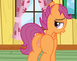 2015 animal_genitalia animal_pussy anus butt clitoris cub dock equine equine_pussy feathered_wings feathers female feral friendship_is_magic looking_at_viewer looking_back mammal my_little_pony open_mouth orange_feathers pegasus puffy_anus pussy pussy_juice scootaloo_(mlp) shutterflyeqd solo tongue tongue_out wings young
Rating: Explicit
Score: 1
User: Cat-in-Flight
Date: April 26, 2018 2015 animal_genitalia animal_pussy anus butt clitoris cub dock equine equine_pussy feathered_wings feathers female feral friendship_is_magic looking_at_viewer looking_back mammal my_little_pony open_mouth orange_feathers pegasus puffy_anus pussy pussy_juice scootaloo_(mlp) shutterflyeqd solo tongue tongue_out wings young
Rating: Explicit
Score: 1
User: Cat-in-Flight
Date: April 26, 2018