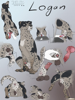 ambiguous_gender animal_genitalia animal_penis anus balls bestiality black_body black_fur black_sheath_slit blue_eyes bodily_fluids brown_balls brown_eyes canine_genitalia canine_penis closed_sheath_slit cum cumshot duo ejaculation erection feral fur genital_fluids genitals glistening glistening_eyes gradient_background grey_body grey_fur grey_tail handjob knot_in_sheath male male/ambiguous male_feral markings mouth_closed peeing penile penis penis_tip presenting presenting_anus presenting_balls red_penis sex sheath sheath_slit simple_background sitting solo spots spotted_body spotted_fur spotted_legs spotted_markings spotted_sheath spotted_tail tail tail_markings urine urine_pool urine_stream sketchy_shelby logan_(dracanius) canid canine mammal 3:4 hi_res sketch_page