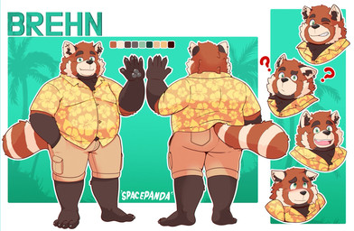 4_toes 5_fingers anthro biped black_body black_fur black_nose blue_eyes blush bottomwear butt clothing feet fingers fur male open_mouth overweight overweight_male palm_tree plant question_mark red_body red_fur shirt shorts smile solo standing text toes topwear tree spacepanda ailurid mammal red_panda 2026 hi_res model_sheet