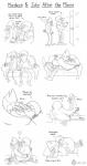<3 anti_dev avian beak bed bird blue_jay clothing comic cuddling feathers gay grin hug john_(regular_show) kissing making_out male mordecai oriole pants pillow pose prosthetic_leg regular_show shirt sketch sleeping smile sofa tank_top tongue tongue_out wooden_leg
Rating: Questionable
Score: 4
User: Pokelova
Date: January 05, 2014