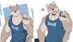 anthro bottomwear clothing fur male muscular muscular_anthro muscular_male simple_background solo topwear ixkouu canid canine canis domestic_dog mammal 2019 2020 digital_media_(artwork)